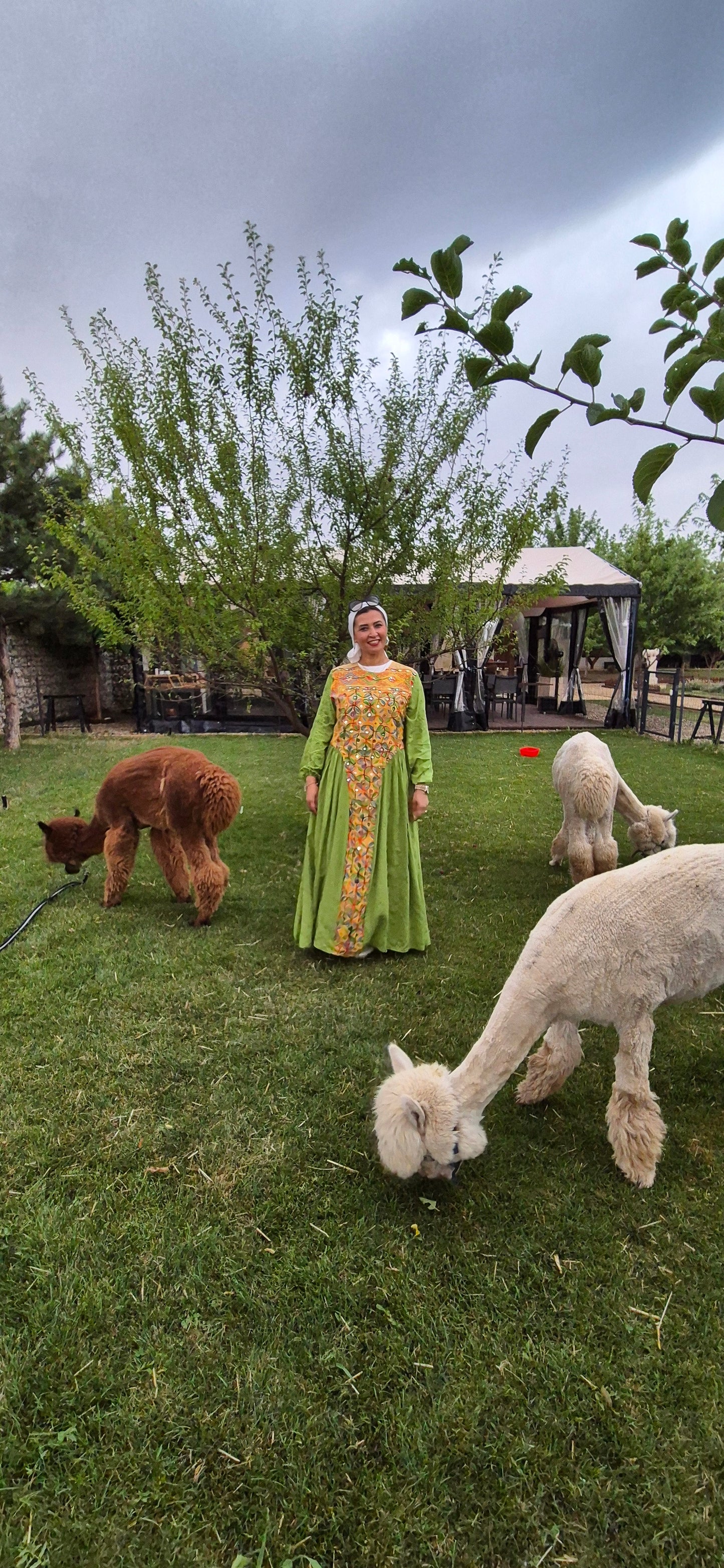 Light Cotton Embroidered Dress