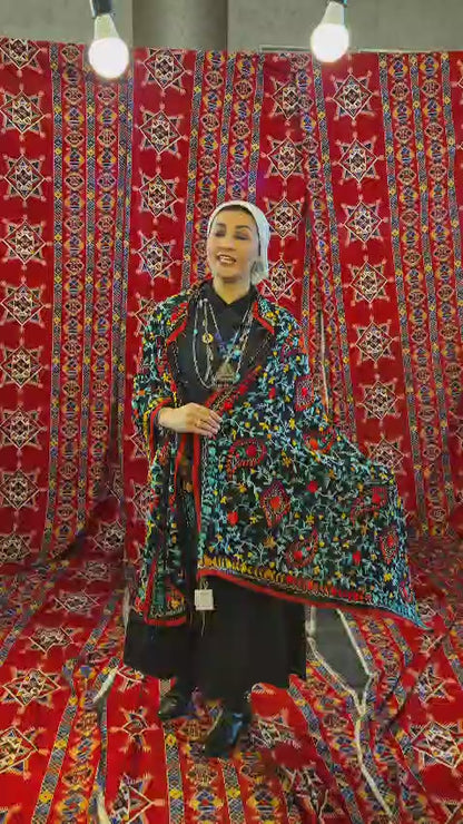 Hand-Embroidred Chiffon Shawls